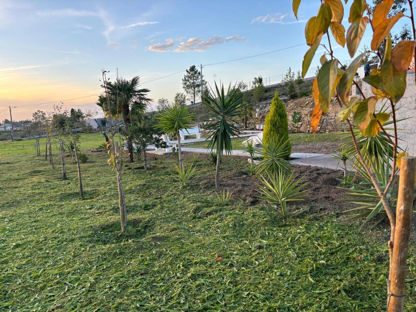 Quinta Santo Antonio Vila Gouveia  Exterior foto