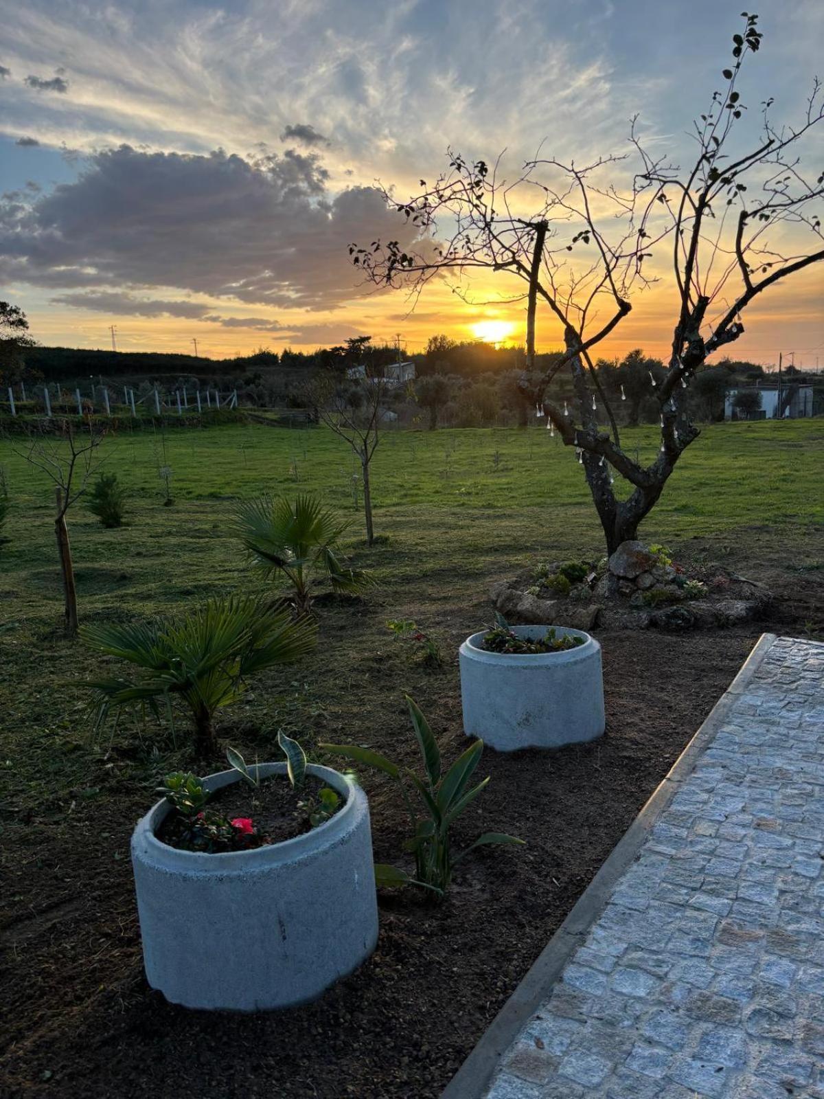 Quinta Santo Antonio Vila Gouveia  Exterior foto