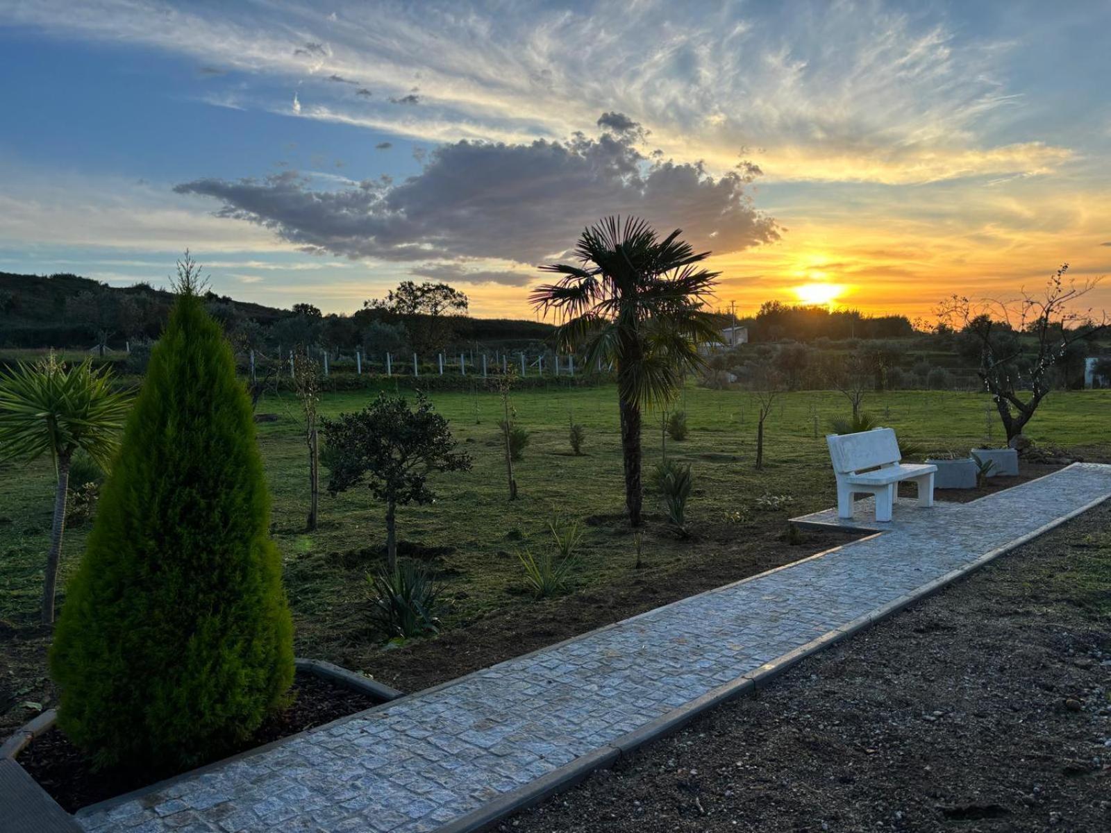 Quinta Santo Antonio Vila Gouveia  Exterior foto